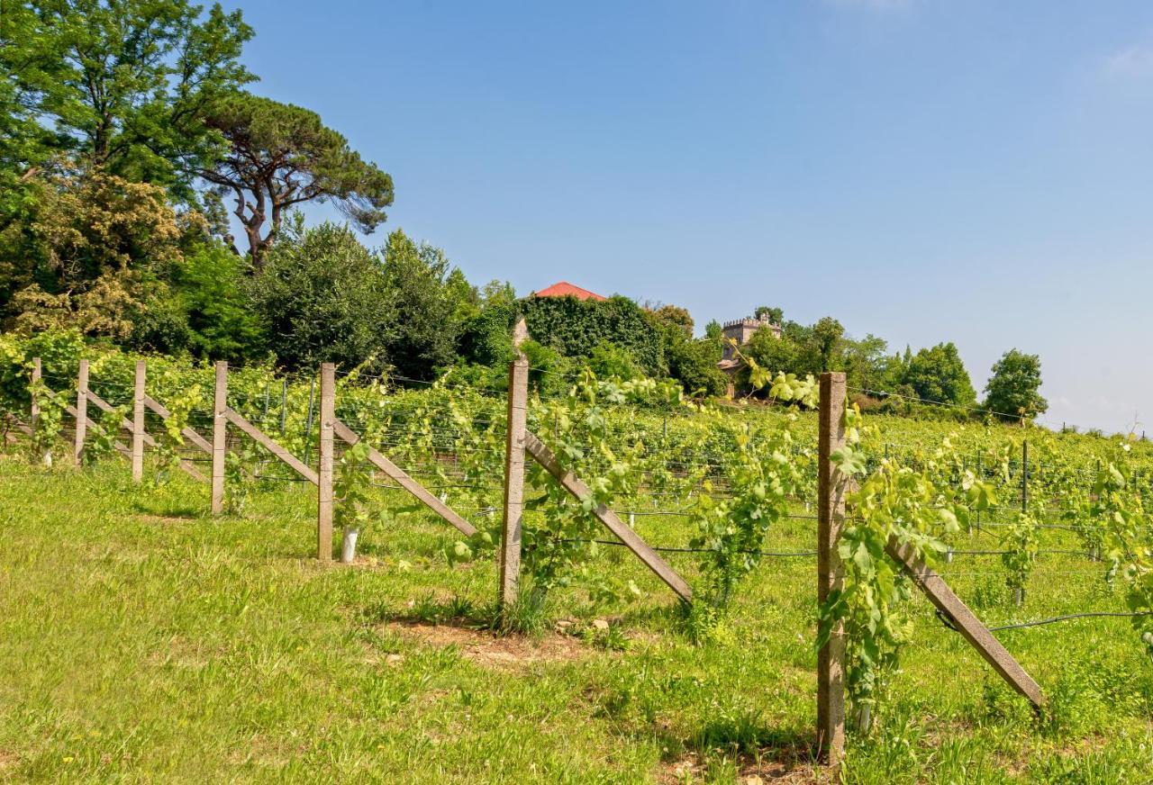 House & Wine Rumah liburan
